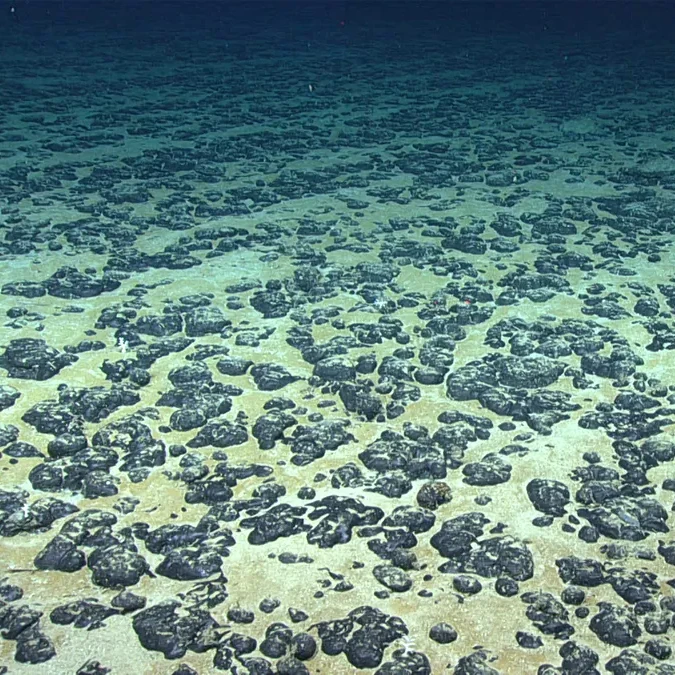 Deep-sea mining digital twin